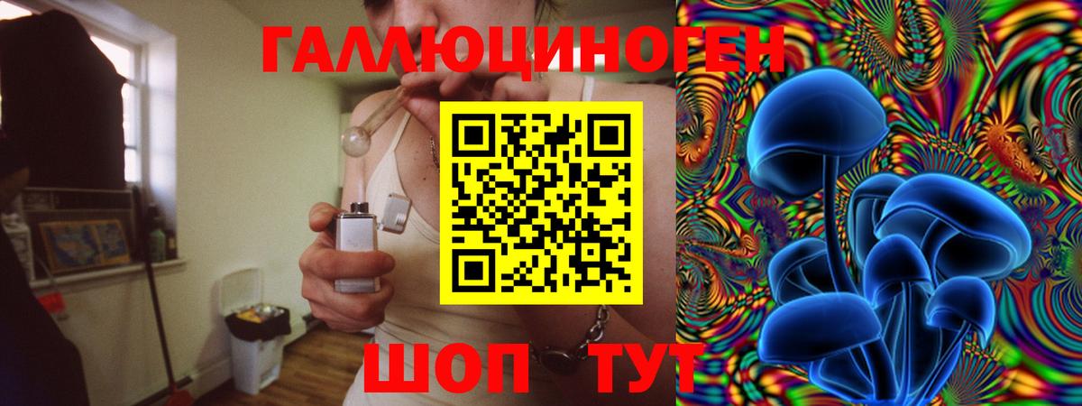 Усинск  Галлюциногенные грибы Cubensis  Вход с VPN 