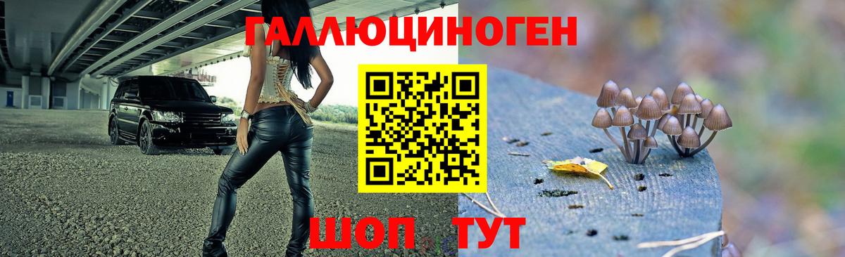 Галлюциногенные грибы MAGIC MUSHROOMS Усинск